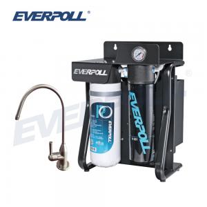 EVERPOLL愛惠浦 RO-900 直出式極淨純水設備